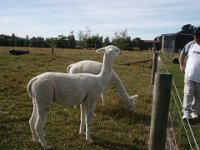 2005021707 Mount Cook, New Zealand (February 19, 2005)