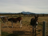 2005021708 Mount Cook, New Zealand (February 19, 2005)