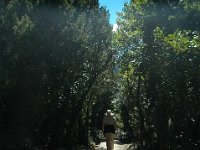 2005021753 Mount Cook, New Zealand (February 19, 2005)