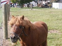 2005021825 Mount Cook, New Zealand (February 19, 2005)