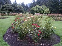 2005021846 Queenstown, New Zealand (February 20, 2005)