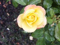 2005021847 Queenstown, New Zealand (February 20, 2005)