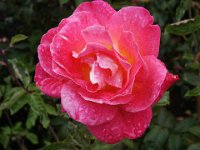 2005021850 Queenstown, New Zealand (February 20, 2005)