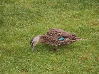 2005021860 Queenstown, New Zealand (February 20, 2005)