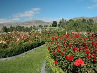 2005021869 Queenstown, New Zealand (February 20, 2005)