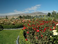 2005021870 Queenstown, New Zealand (February 20, 2005)