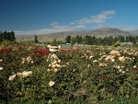 2005021871 Queenstown, New Zealand (February 20, 2005)