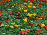 2005021959 Rotorua, New Zealand (February 22 - 23, 2005)