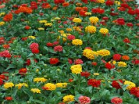 2005021960 Rotorua, New Zealand (February 22 - 23, 2005)