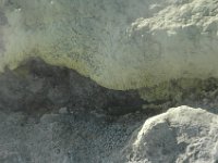 2005022012 Rotorua, New Zealand (February 22 - 23, 2005)