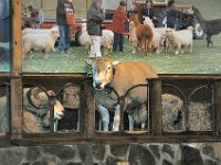 2005022031 Rotorua, New Zealand (February 22 - 23, 2005)