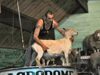 2005022035 Rotorua, New Zealand (February 22 - 23, 2005)