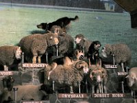 2005022037 Rotorua, New Zealand (February 22 - 23, 2005)