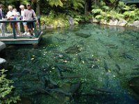 2005022041 Rotorua, New Zealand (February 22 - 23, 2005)