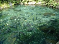 2005022042 Rotorua, New Zealand (February 22 - 23, 2005)