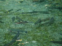 2005022044 Rotorua, New Zealand (February 22 - 23, 2005)