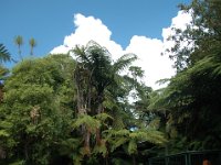 2005022047 Rotorua, New Zealand (February 22 - 23, 2005)