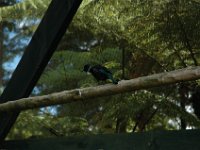 2005022048 Rotorua, New Zealand (February 22 - 23, 2005)