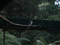 2005022049 Rotorua, New Zealand (February 22 - 23, 2005)