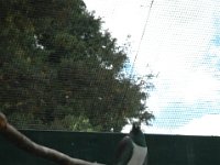 2005022050 Rotorua, New Zealand (February 22 - 23, 2005)