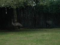 2005022052 Rotorua, New Zealand (February 22 - 23, 2005)