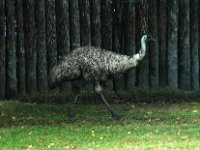 2005022053 Rotorua, New Zealand (February 22 - 23, 2005)