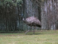 2005022055 Rotorua, New Zealand (February 22 - 23, 2005)