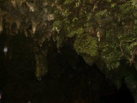 200502060 Waitomo, New Zealand (February 24, 2005)