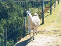 1998061292 Darrel and Betty Hagberg - Peru