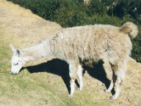 1998061293 Darrel and Betty Hagberg - Peru
