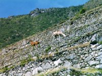 1998061340 Darrel and Betty Hagberg - Peru