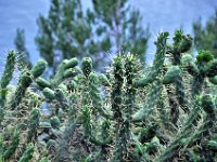 2016053008 Lisbon (May 14)