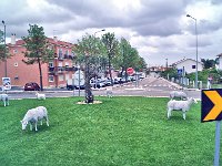 2016053014 Lisbon (May 14)