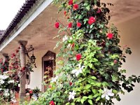 2016051651 Guimaraes - Vila Real - Viseu (May 10)