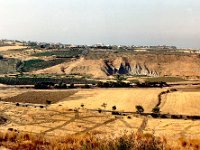 1989070437 : Darrel Hagberg