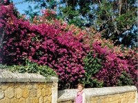 1989070451 : Katia DePuydt