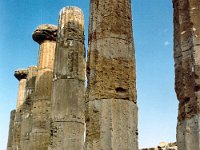 1989070453 : Katia DePuydt