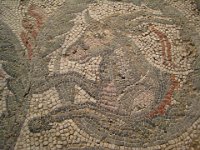 flickr-356498102-max 1024