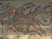 zwd-gZ5UM3w-FhZqDFhXnkE-max 2560