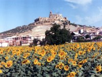 1990072316 Cordoba, Spain (August 2, 1990)