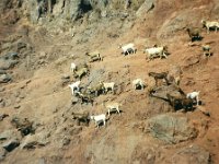 1990072256 Granada, Spain (August 1, 1990)