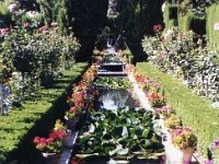 1990072296 Granada, Spain (August 1, 1990)