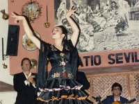1990072176 Seville, Spain (July  23 - 24, 1990)