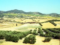 1990072372 Toledo, Spain (August 3, 1990)