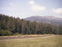 1983060257  Lichtenstein - Jun 29