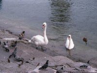 1983060344 Lucerne, Switzerland - Jun 30