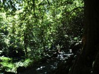 2005022189 Tahiti (February 27 - 28, 2005)