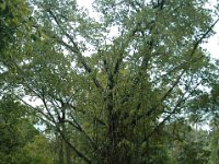 2005022200 Tahiti (February 27 - 28, 2005)