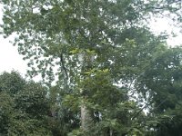 2005022210 Tahiti (February 27 - 28, 2005)