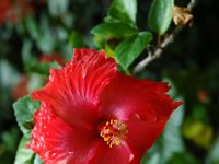 2005022212 Tahiti (February 27 - 28, 2005)